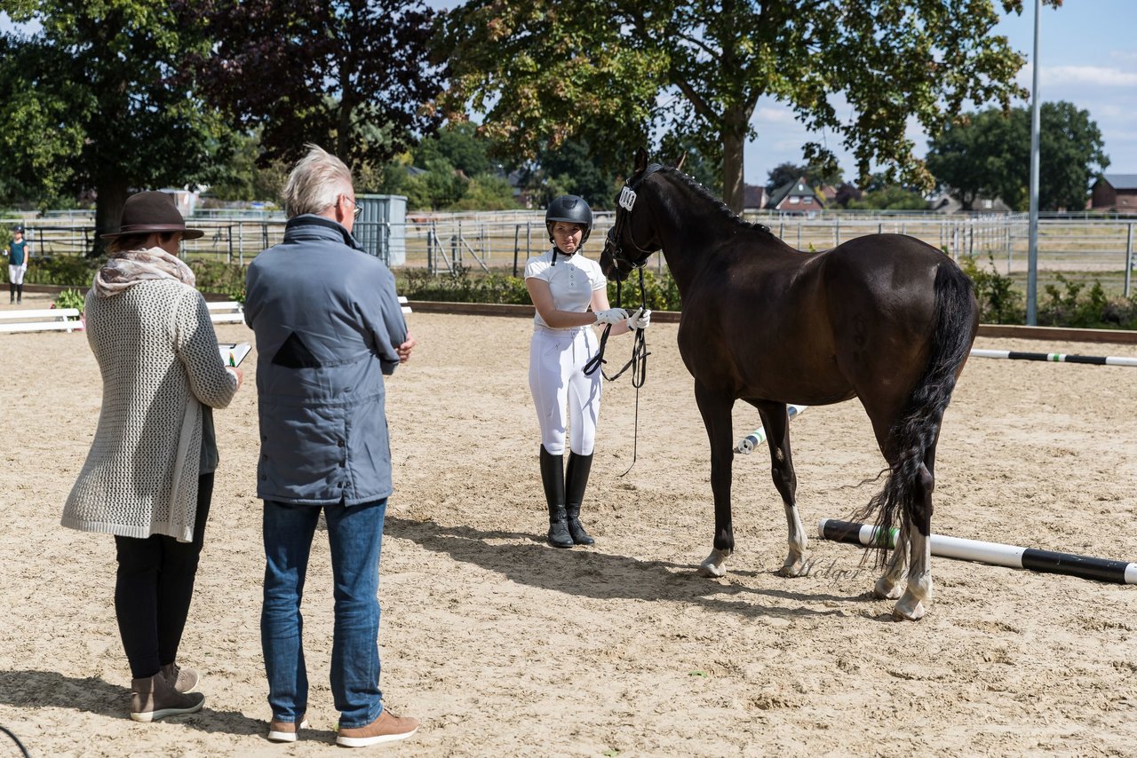 Bild 34 - Pony Akademie Turnier